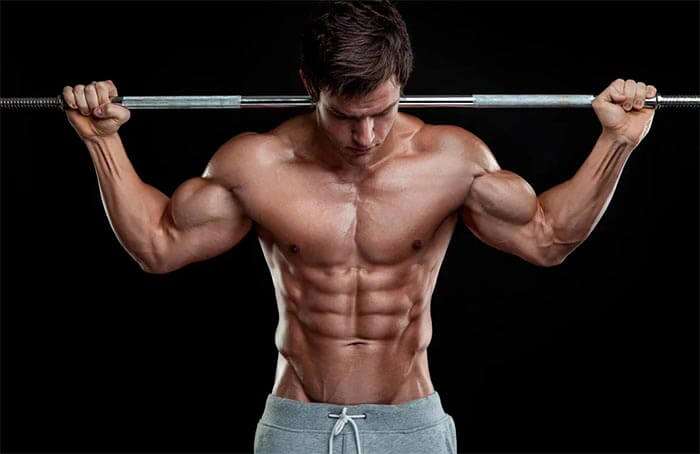 muscle mass